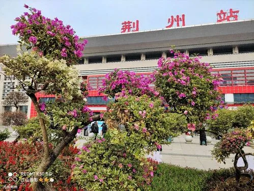 江苏苏州到荆州物流公司+物流专线、2024市/区/县，已更新